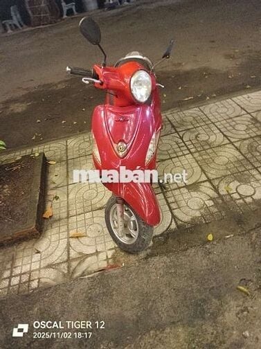 Atila Fi bs tphcm Bình Dương