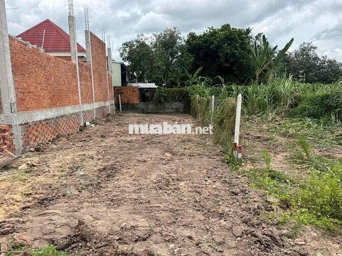 🏡 BÁN LÔ ĐẤT GIÁ RẺ – XÃ THÁI MỸ, HUYỆN CỦ CHI, TP.HCM 🏡