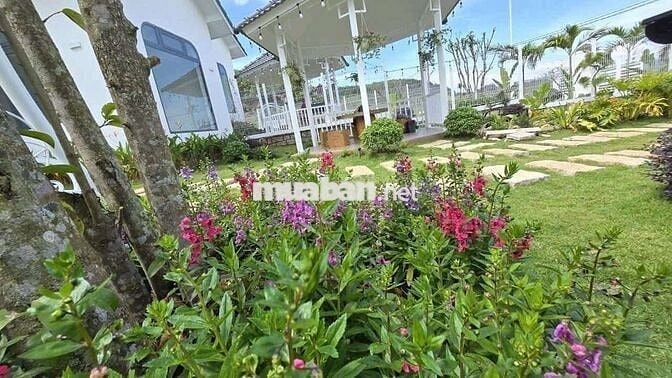 BÁN VƯỜN ĐẤT CÓ VILLA  – VIEW ĐỒI THÔNG, GẦN ĐÀ LẠT