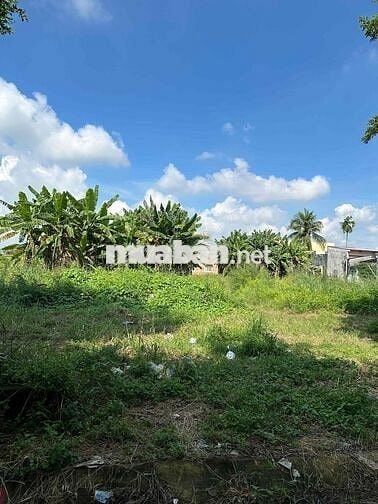 CHÍNH CHỦ CẦN BÁN ĐẤT THỔ CƯ – XÃ LONG HÒA, TỈNH LONG AN 📍 Vị trí: Xã