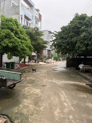 Cho thuê nhà nguyên căn chính chủ 65m2 Đường Thạnh Lộc 28