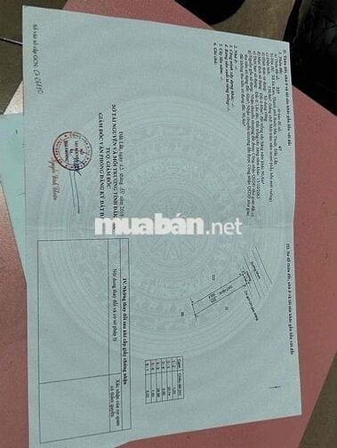 đất mặt tiền Tân Hưng Eakao ngay gần trung tâm tiện ích phường Eakao