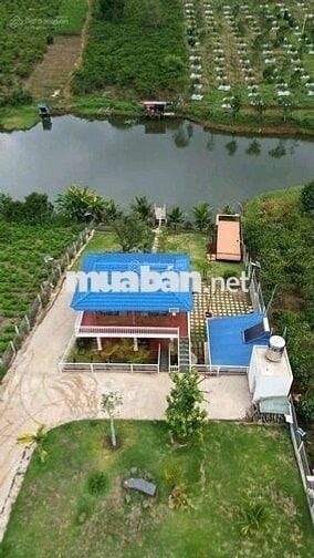 Bán nhanh lô đất view hồ 23x82,3m 1893m2 giá 500triệu sẵn nhà homestay