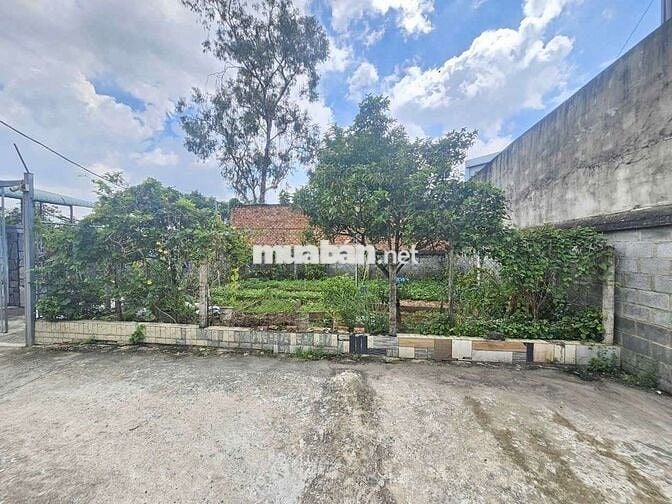 Đất đường Bà Huyện Thanh Quan phường Bình An Tp Dĩ An