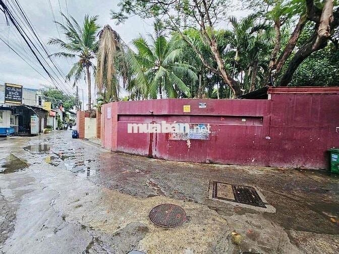 Đât rộng gần Ngã Ba Cây Điệp, P Tân Đông Hiệp, TP Dĩ An.