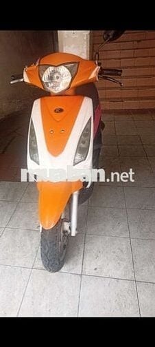 Kymco candy hi 2018 Ga 50 học sinh
