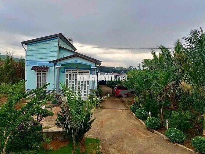 Chuyển nhà bán lỗ gấp lô 20x48m, 960m2 giá 300triệu có sẵn nhà cấp 4