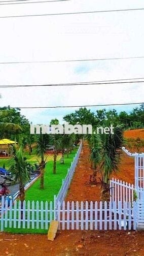 🏳️‍🌈 ĐẤT LÀM NHÀ VƯỜN Ở BUÔN MÊ THUỘT 🏳️‍🌈