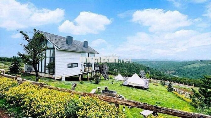 Nợ nần cần bán lỗ nặng lô 900m2 giá 300triệu tặng nhà và sân vườn đẹp