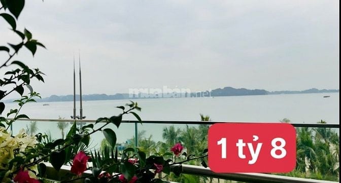 Thực sự tiếc… nhưng mình đang cần xoay tiền nên phải để lại căn studio