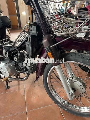 supper dream 99 bstp k9c