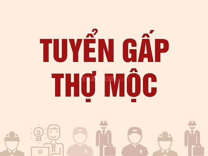 CÔNG TY CHI ANH TUYỂN GẤP THỢ MỘC & PHỤ MỘC GỖ THÔNG