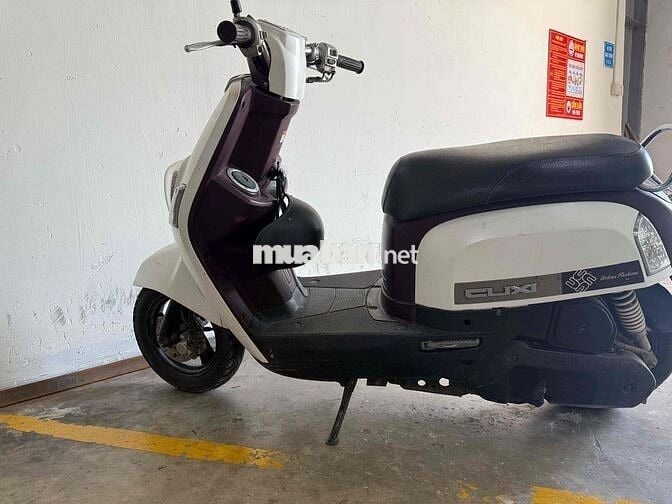 cần bán hoặc gl sang xe số