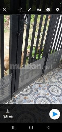 Bán nhà 1 trệt 1 lầu tại phường tân triều