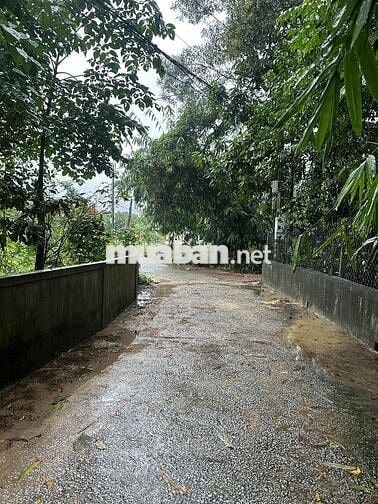 Chính chủ bán 100m2 đất mặt tiền kiệt Minh Mạng