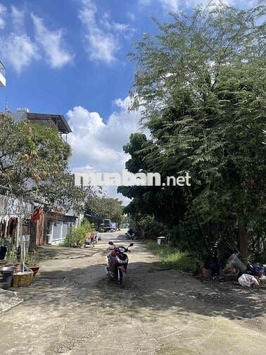 Chính chủ bán 2 lô đất view sông An Phú Đông - 116m2/lô full thổ