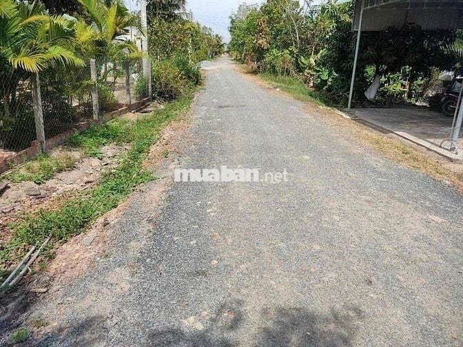 Đất chính chủ sổ hồng riêng 150 m2 cần bán trọng Tết