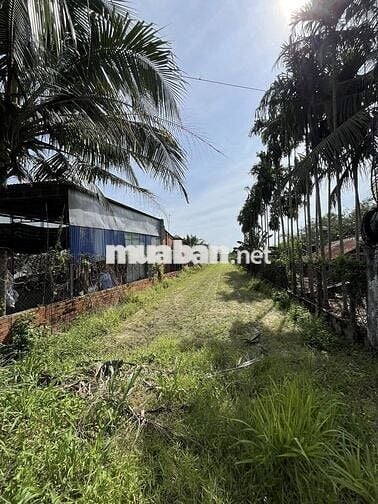 Đất đẹp 543m2 Gia Lộc, Trảng Bàng, TN. Đg nhựa, nở hậu, giá chỉ 1,1 tỷ