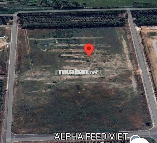 BÁN ĐẤT KHU CÔNG NGHIÊP HÒA PHÚ ,HUYÊN LONG HỒ . TỈNH VĨNH LONG