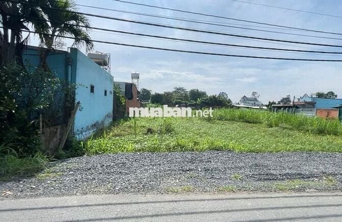 Gia đình đi cự bán  nhanh miếng đất 165m2 Tân Thông Hội, Củ Chi , SHR