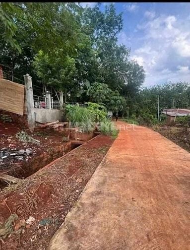 Đất Chính Chủ Sổ Hồng Riêng Sẵn Sàng Sang Tên Công Chứng 