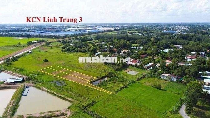 🌿 BÁN NHANH ĐẤT VƯỜN 1200m2-GIÁ 1tỷ2 - XÃ THÁI MỸ, CỦ CHI 🌿