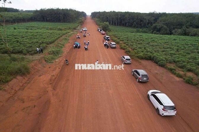 Cần bán đất mặt tiền đường xuyên tâm 32m giá rẻ