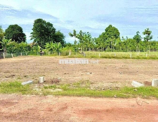 Đất thổ cư 194,8m² giá chỉ 680 triệu – Cầu Xe, Trảng Bàng, Tây Ninh!