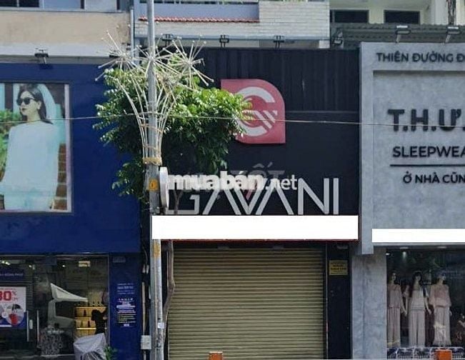 Nhà cho thuê mặt tiền đường Luỹ bán bích 4x16m