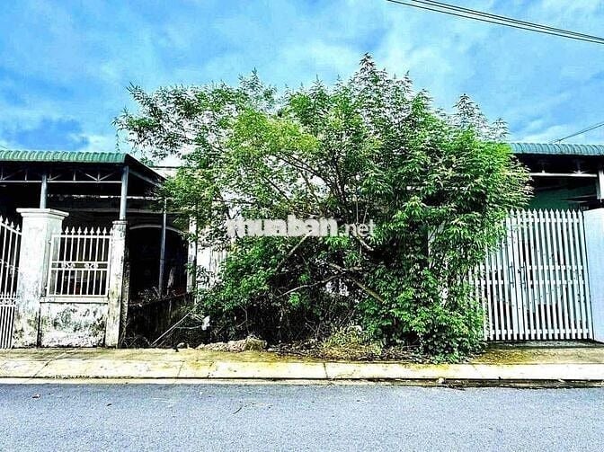 🏡🌳 BÁN ĐẤT THỔ CƯ TRUNG TÂM THỊ TRẤN CỦ CHI