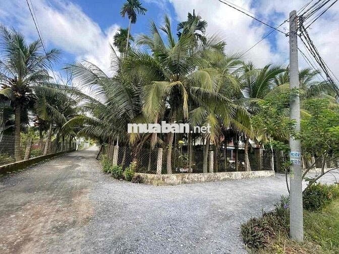 Đất Ngộp Sát Cv Võ Văn Tần 5x25m giá 680tr