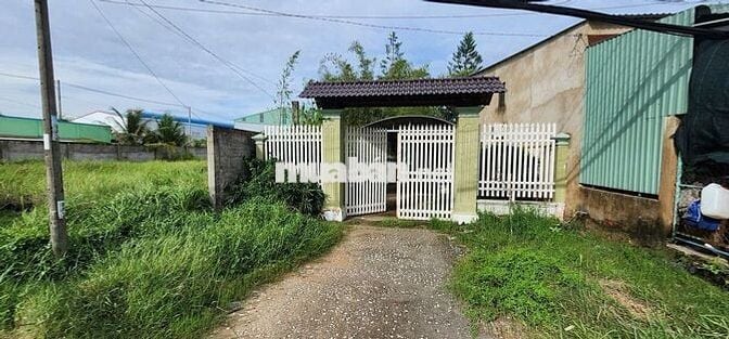 Mặt bằng KD mặt tiền DT826, DT 2500m2, KD đa ngành gần vành đai 4.