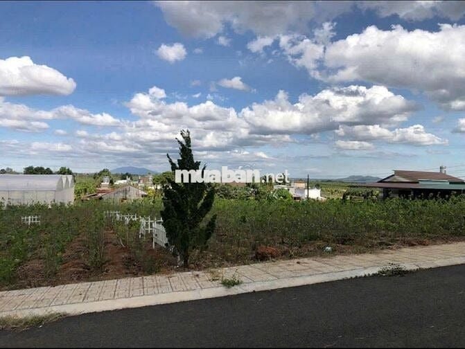 Chủ gửi bán lô đất xã Lộc Quảng, huyện Bảo Lâm, tỉnh Lâm Đồng