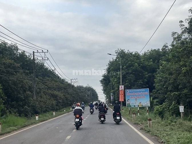 Đất vườn trái cây view Quốc Lộ 20 - gần sân bay quốc tế Long Thành 