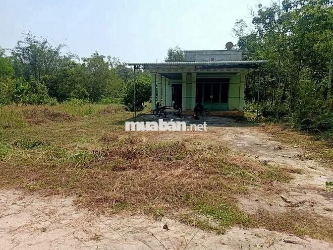 Nhà cấp bốn, xã Định Hiệp, huyện Dầu Tiếng, diện tích 778m2, có thổ cư