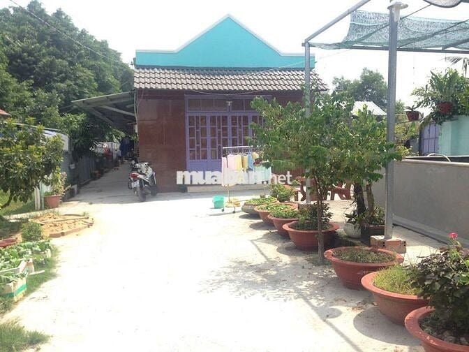 Phòng sân vườn 32m wifi free gân chợ Hiệp bình