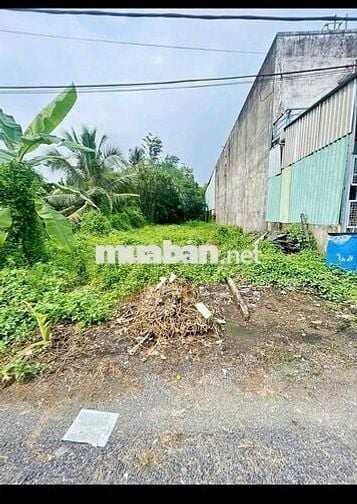 Đất Ngộp Giá Rẻ 850tr - 105m2 Đường Cây Trôm Mỹ Khánh , Sổ Hồng Riêng