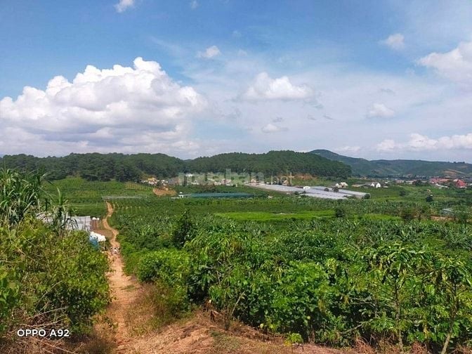 Cẩn bán gấp đất vườn tại xã phú sơn 