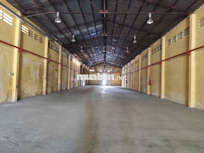 Cho thuê 2 kho 850m2 - 1.650m2 Phạm Thế Hiển, Quận 8, giá tốt ,kho cao