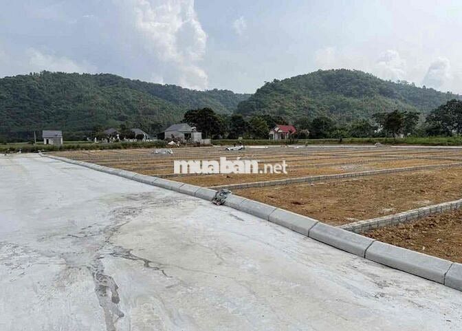 Bán Đất Thạch Bình .Giá :145 tr/lô