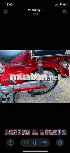 xe custom 50 hàn quốc halim