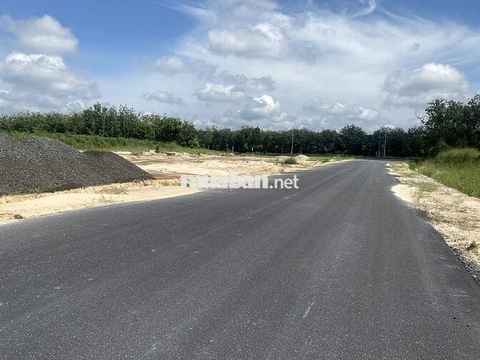 GIA ĐÌNH MẮC NỢ NÊN  BÁN BỚT ĐẤT ĐỂ TRẢ NỢ