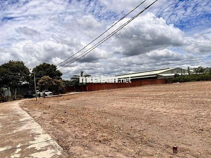 Lô đất đẹp 250m² – giá chỉ 590tr, đầu tư siêu lời 💰