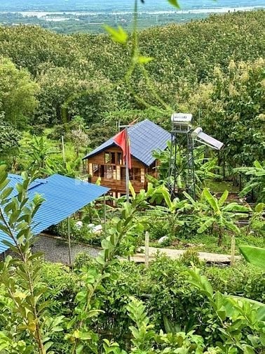 CÒN DUY NHẤT 1 MẢNH VƯỜN NẰM TRÊN ĐỒI VIEW HỒ TRỊ AN - ĐẦU TƯ SINH LỜI