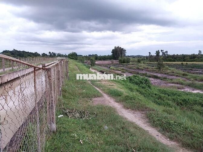 Bán trang trại MT Kênh Đông- T.T.Hội- C.Chi.