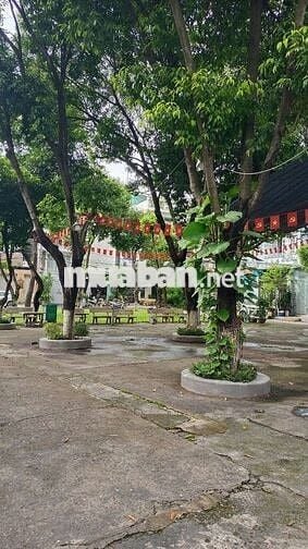 Không Gian Sống Xanh, Xe Hơi Ngủ Trong Nhà, 4 Tầng 4 PN