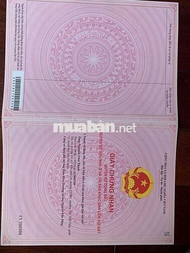 BÁN ĐẤT TRỒNG CÂY CAO SU LÂU NĂM