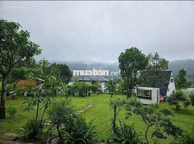 Định cư nước ngoài bán lỗ gấp lô 26x80m 2082m2 giá 300 triệu View Hồ