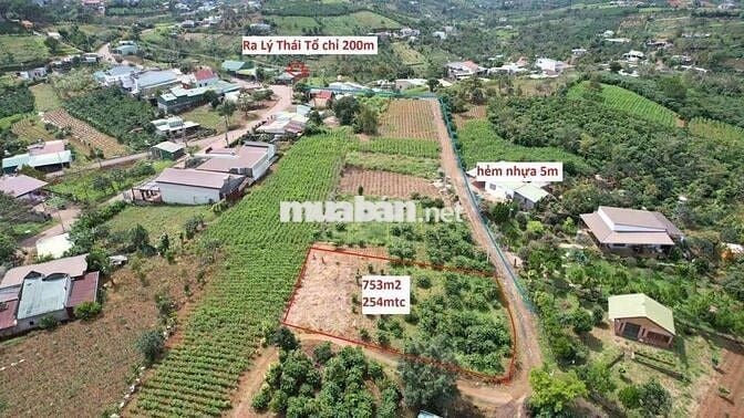 SIÊU PHẨM ĐẤT BIỆT THỰ NGHỈ DƯỠNG – GIÁ NGỘP CHỈ 1 TỶ!