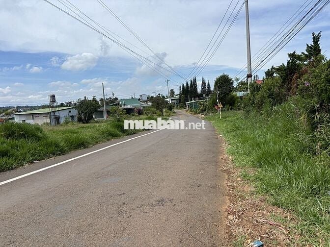 Bán đất CLN mặt tiền đường Thôn 14 - Phường 2 Bảo Lộc, LĐ